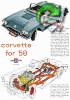 Corvette 1959 111.jpg